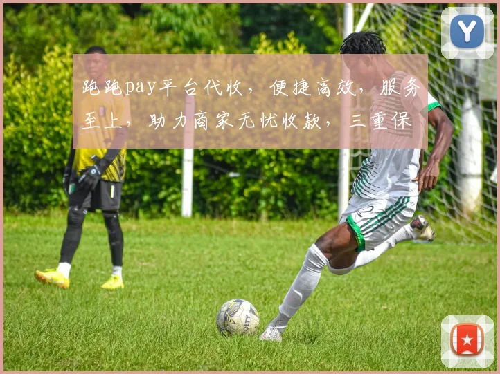 跑跑pay平台代收，便捷高效，服务至上，助力商家无忧收款，三重保障，值得信赖