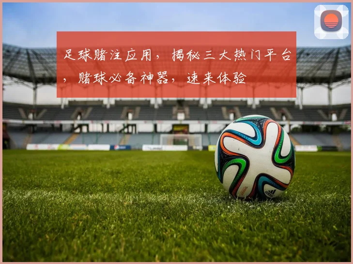 足球赌注应用，揭秘三大热门平台，赌球必备神器，速来体验