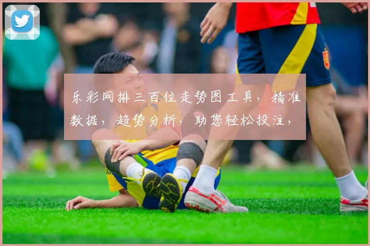 乐彩网排三百位走势图工具，精准数据，趋势分析，助您轻松投注，三步掌握