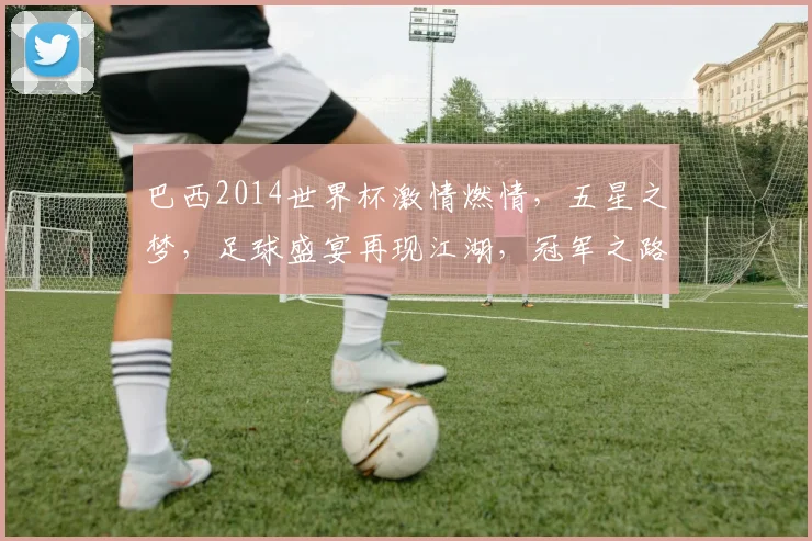 巴西2014世界杯激情燃情，五星之梦，足球盛宴再现江湖，冠军之路漫漫