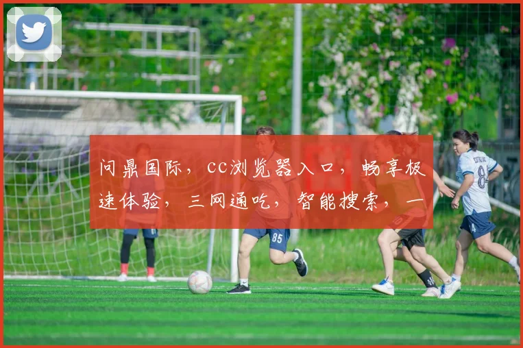 问鼎国际，cc浏览器入口，畅享极速体验，三网通吃，智能搜索，一键直达，畅游无界，轻松管理