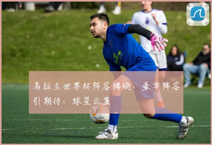 乌拉圭世界杯阵容揭晓，豪华阵容引期待，球星云集