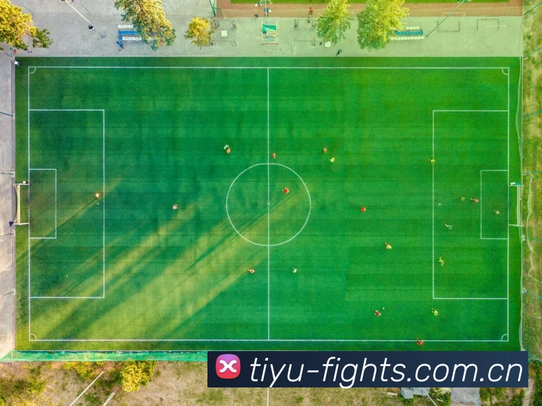 欧冠决赛投注优惠平台生态图